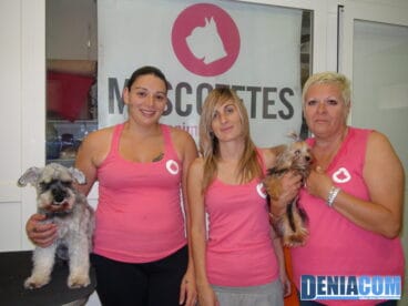 Equipo-de-Mascotetes