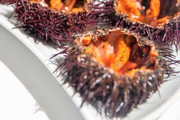 Plato de ‘Bogamarins’ (erizos de mar) típico de Xàbia