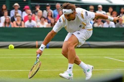 David Ferrer-Wimblendon 