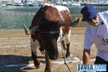 El manso de la Gran Cagada