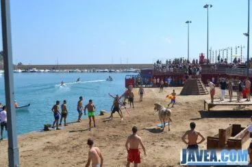 Los toreros incitan a la vaca para que salte al mar