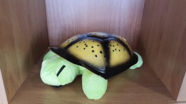 Tortuga luminosa