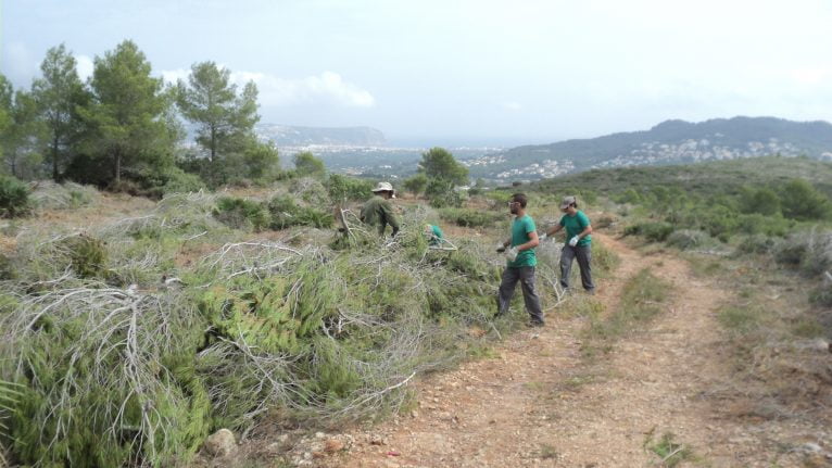 Brigadas Municipales de Medio Ambiente trabajando en el Tossal Gross