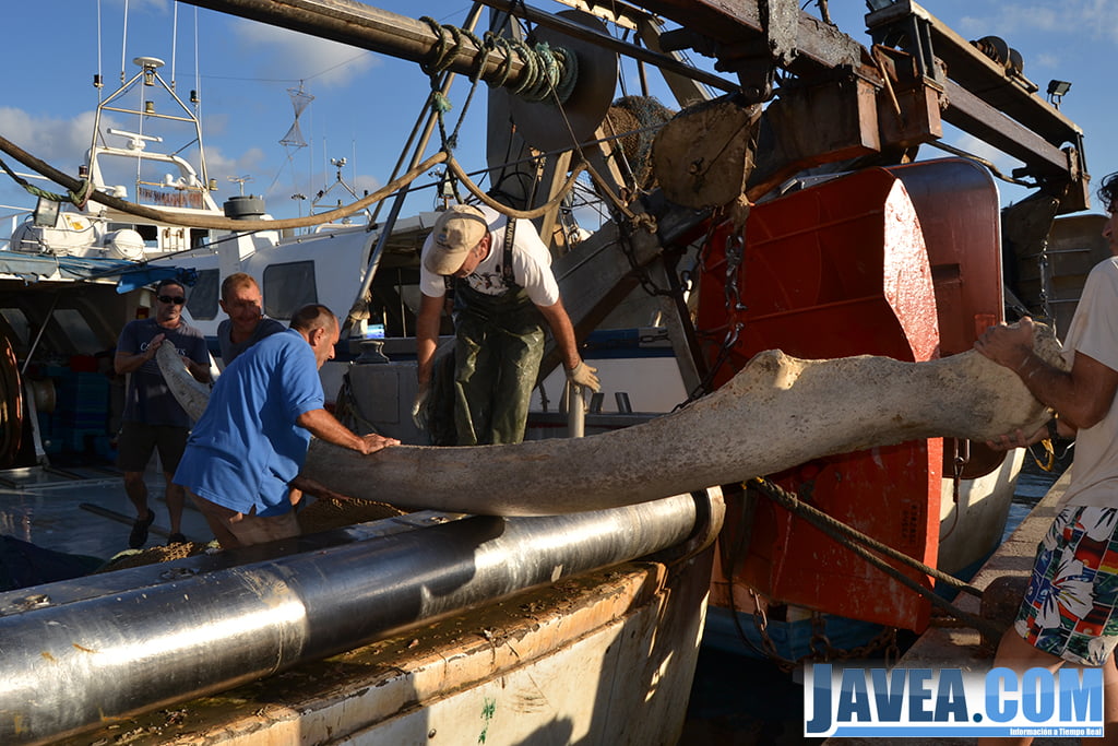La tripulación sacando los restos de la ballena de la embarcación