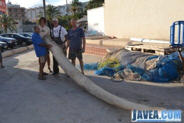 Los miembros de la tripulación con la mandíbula de la ballena