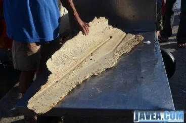 Los restos del paladar de la ballena