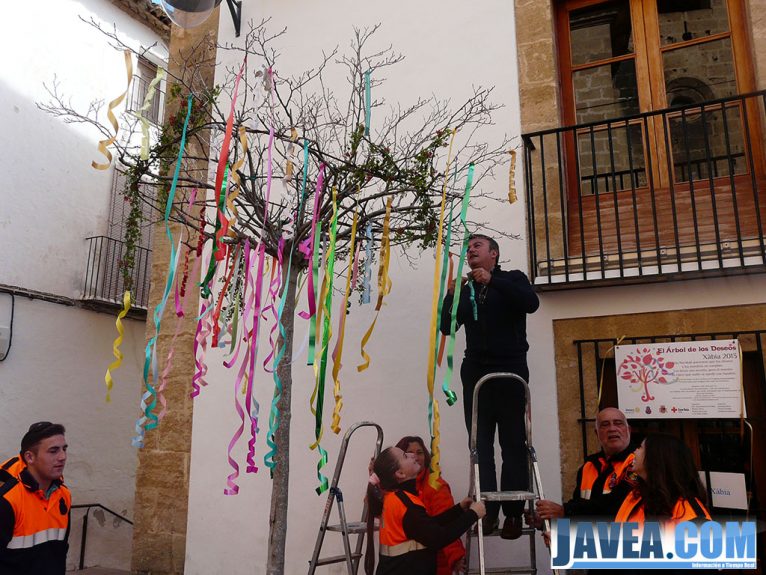 José Chulvi colgando su cinta en el árbol de los deseos