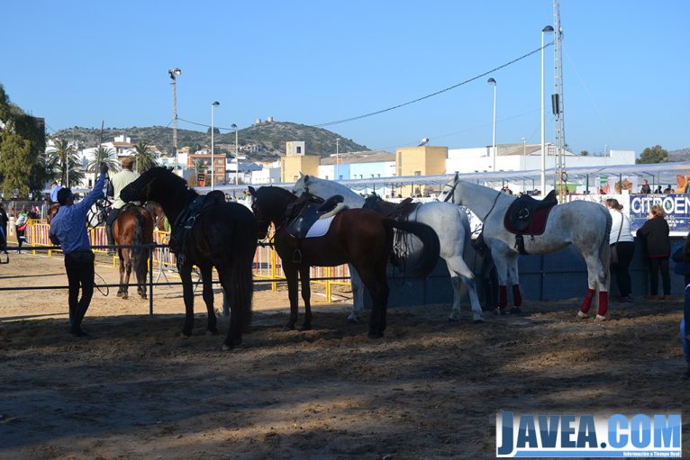 Las actividades con caballos fueron uno de los atractivos de la I Fira del Montgó