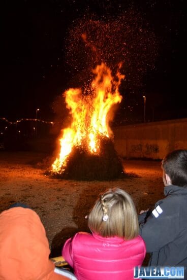 El pino monumental se quemó rápidamente en la Calle San Antonio