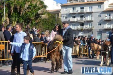 Los animales iban pasando uno a uno para ser bendecidos