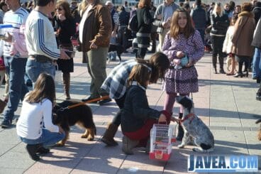 Los pequeños de casa sacaron a sus macotas de casa para la bendición de San Antonio