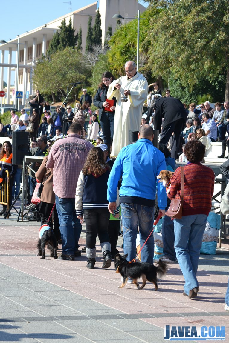 Vecinos de Jávea con sus mascotas en la bendición de San Antonio