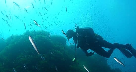 Fondos Marinos de Jávea 