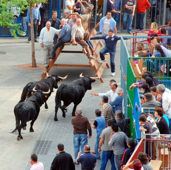 Bous al carrer en las fiestas del Nazareno de Jávea