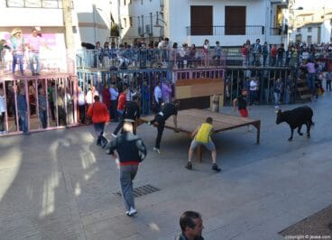Las fiestas en honor a Jesús Nazareno en Jávea arrancan con els bous al carrer