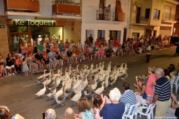 Ocas adiestradas en el boato de la Filà Capitana
