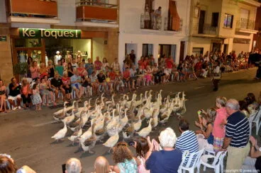 Ocas adiestradas en el boato de la Filà Capitana