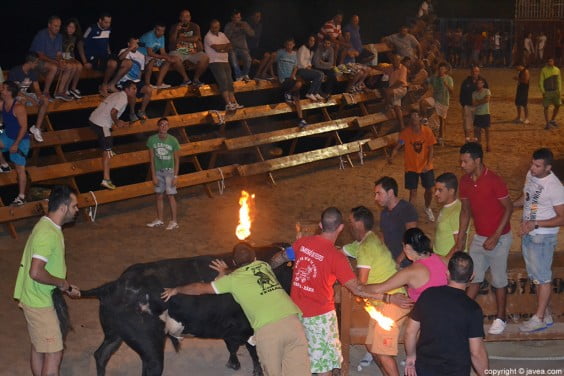 Toro Embolado en las fiestas Mare de Déu de Loreto de Xàbia