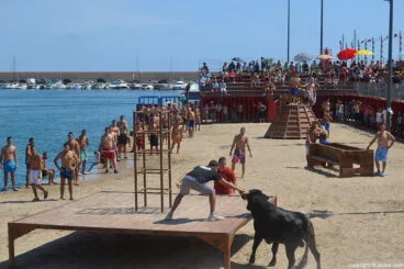 Bous a la mar de Xàbia