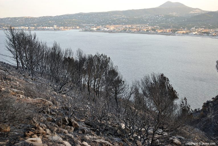 Resultado del incendio en Las Planas y Cabo de San Antonio 