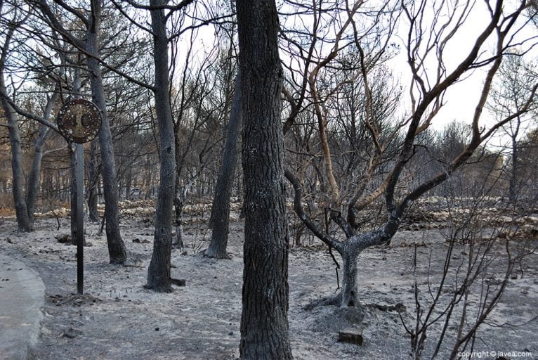 Resultado del incendio en Las Planas y Cabo de San Antonio 