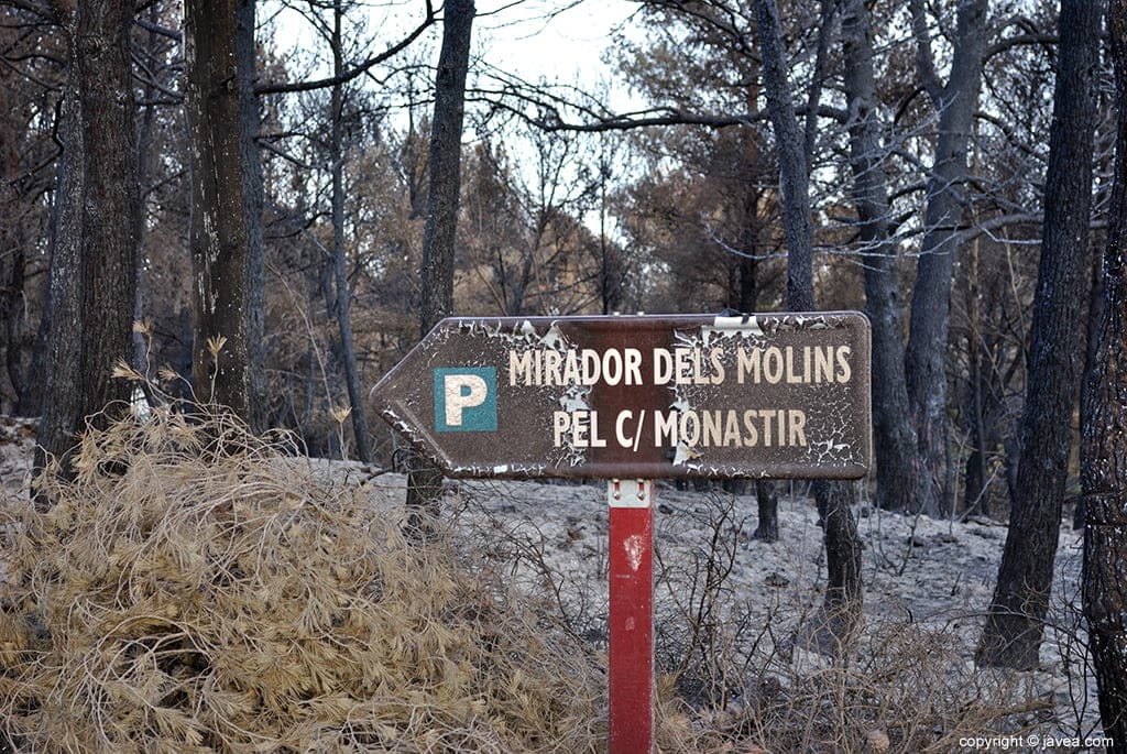 Resultado del incendio en Las Planas y Cabo de San Antonio 
