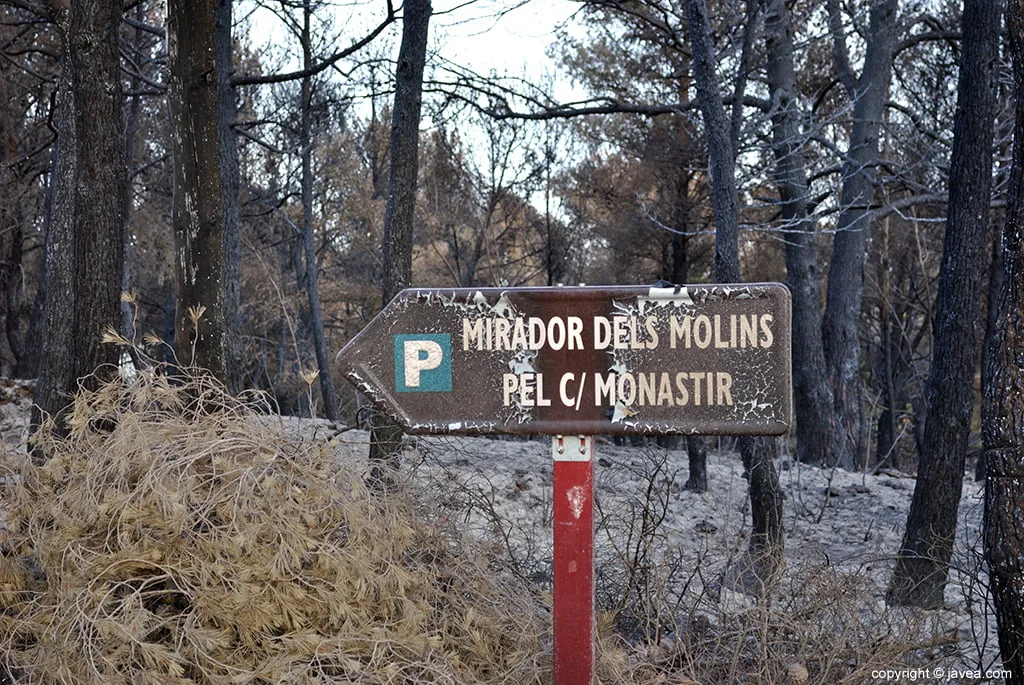 Resultado del incendio en Las Planas y Cabo de San Antonio 