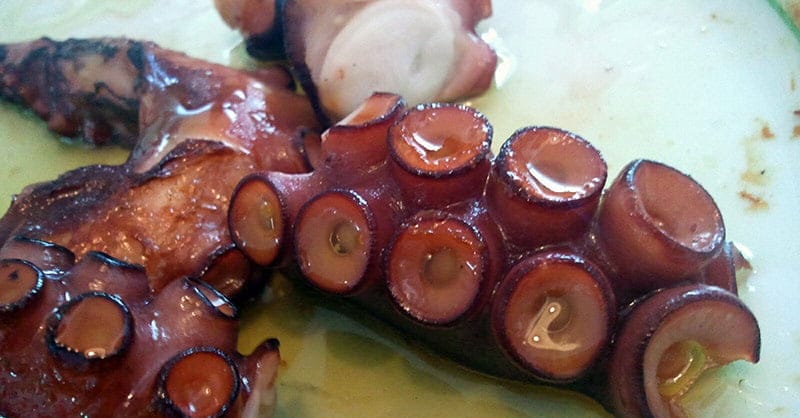 Pulpo del Pòsit de Xàbia Antonio Rojo