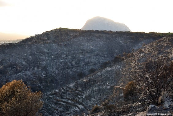 Resultado del incendio en Las Planas y Cabo de San Antonio
