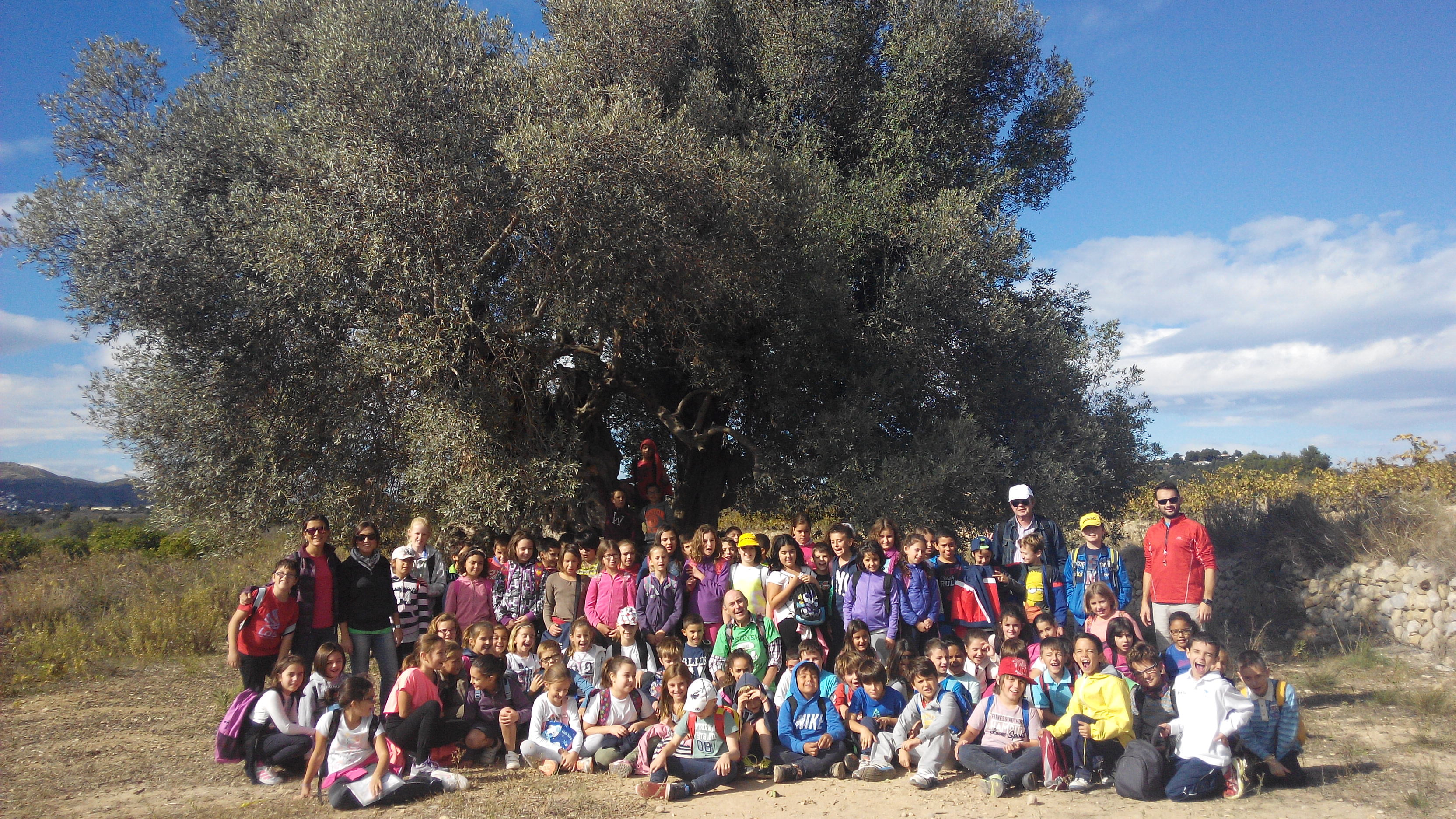 Visita a les Barranqueres i olivera milenaria Graüll 2