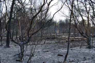 La Plana y el Cabo de San Antonio fueron devastados por el fuego
