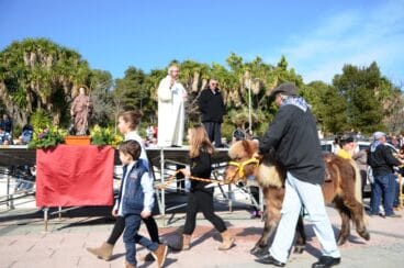 Bendición de animales en la Plaza de la Constitución