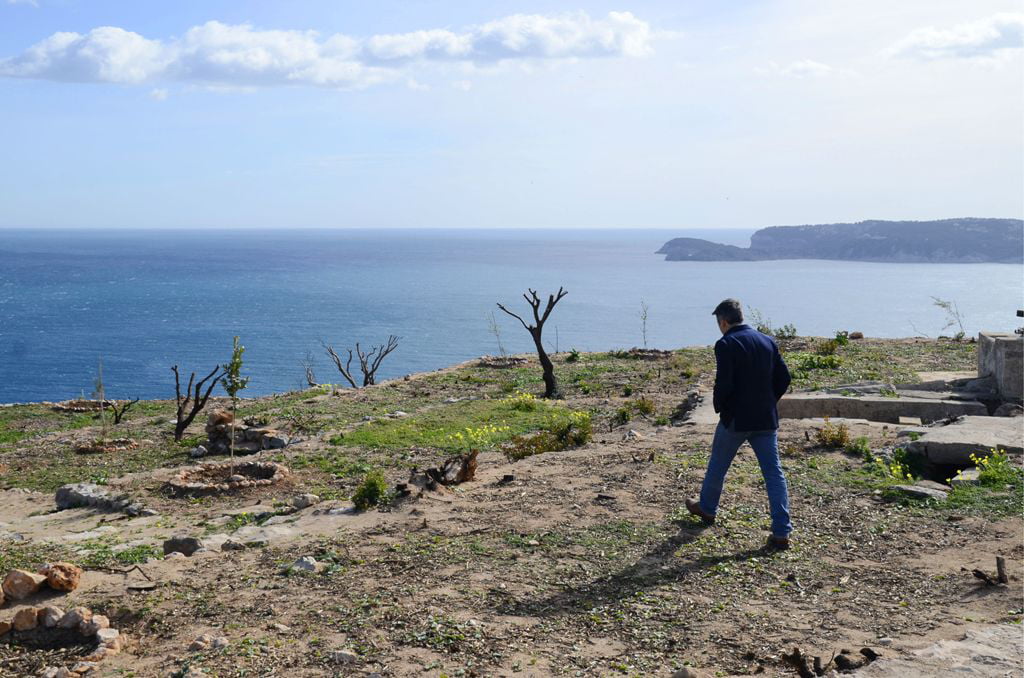Reforestación del mirador del Cap de Sant Antoni