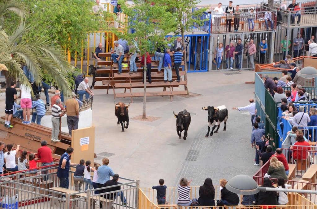 Bous al carrer en Jávea