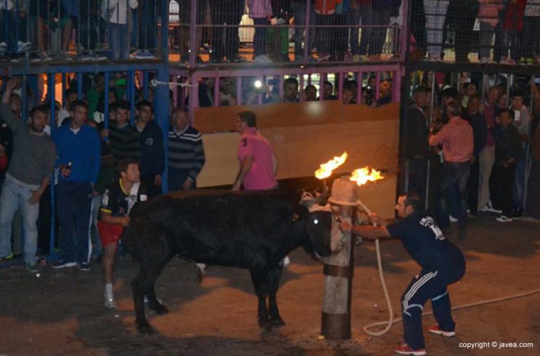 Toro embolado en Jávea