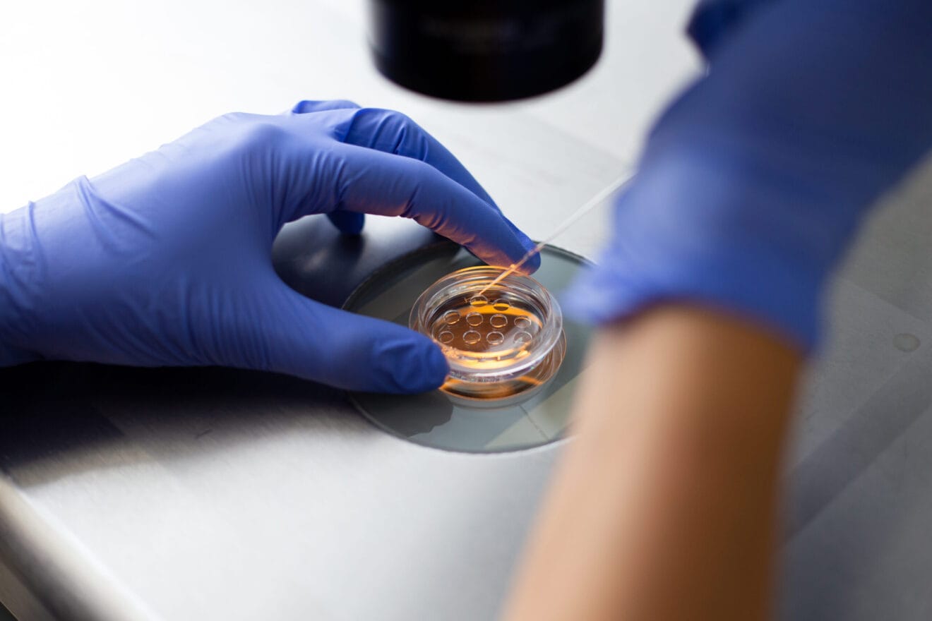Laboratorio de fecundación in vitro