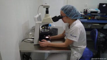 laboratorio irema