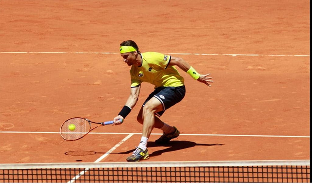 David Ferrer cerca de la red