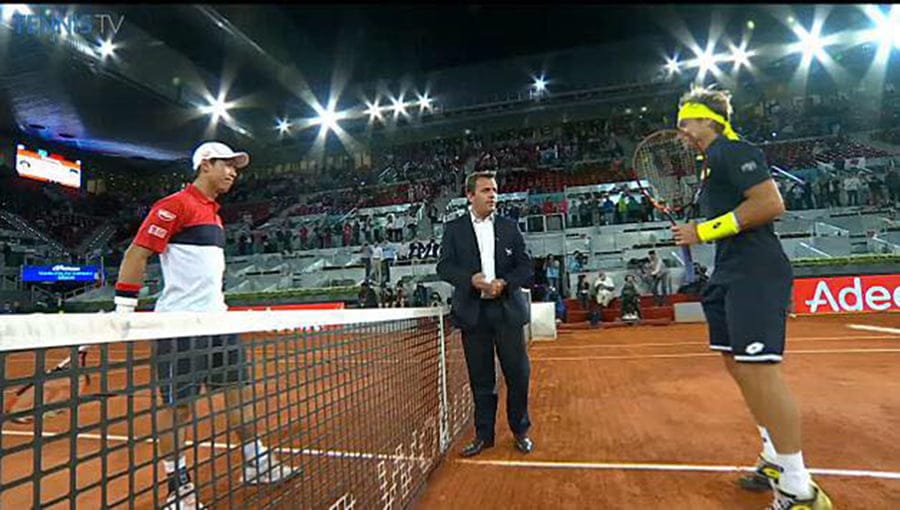 David Ferrer y Nihiskori