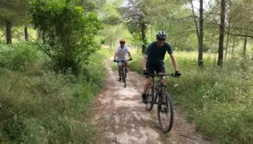 Las mejores rutas por la naturaleza para todos los niveles