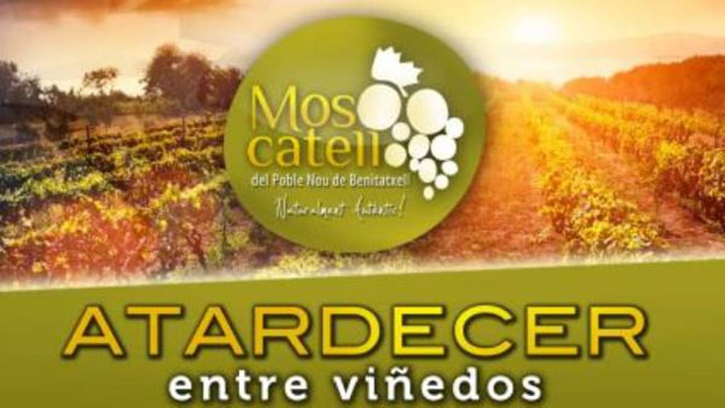 Cartel de Atadecer entre viñedos