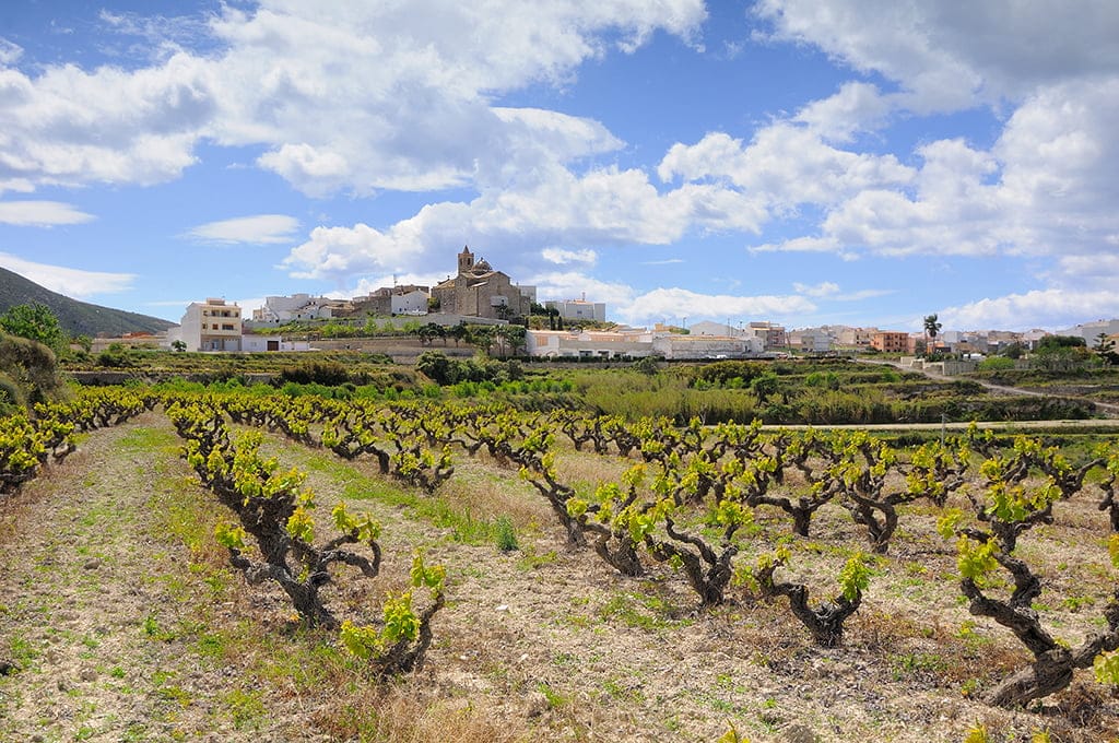 Paisaje de la Ruta del Abiar