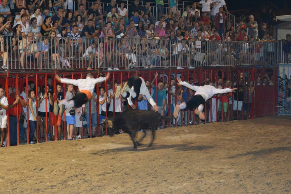 Concurso de recortadores