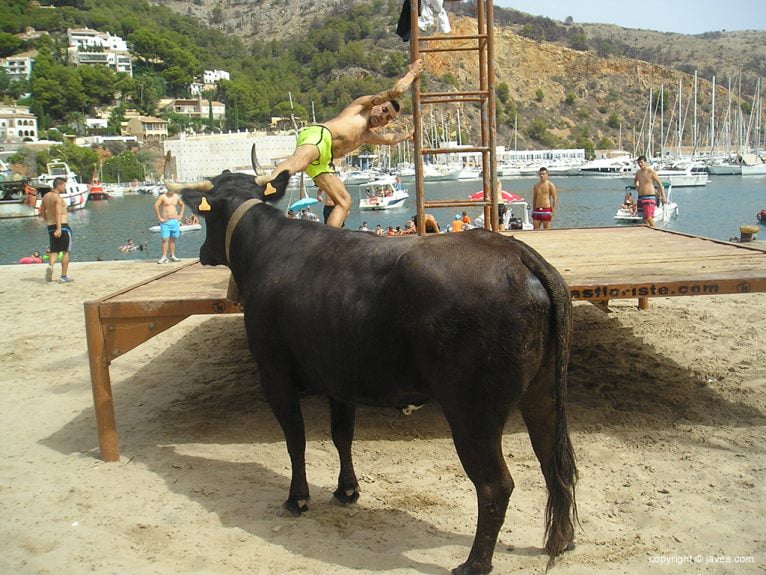 El bou en la plaza