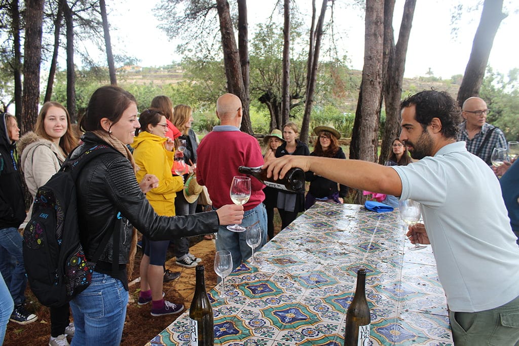 Estudiantes germanos probando el vino Moraig