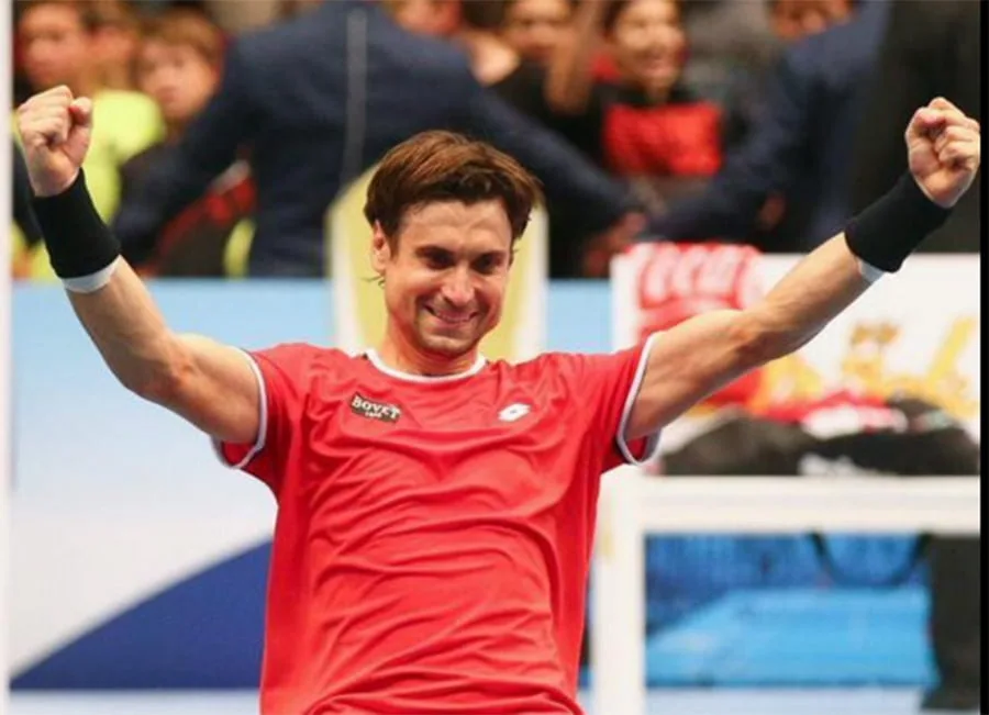 David Ferrer en Viena