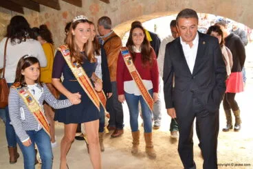 El alcalde con las reinas y damas de fogueres 2015