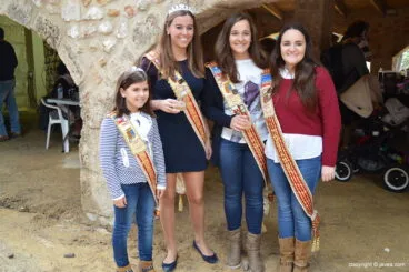 Las reinas y damas de Fogueres 2014 en la Jornada del Tapeo