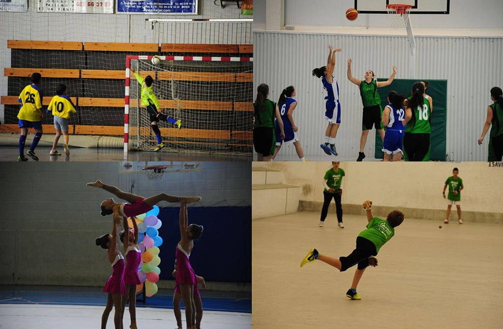 Collage de competiciones de las ligas  del Cema