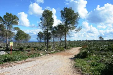 Paisaje de La Plana en noviembre